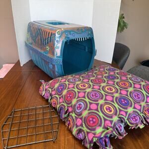 Handd Painted Custom Pet Carrier, Plastic, Airline Approved Heavy Duty W/ Pillow